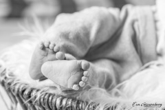 Babyfotografie