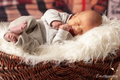 Babyfotografie
