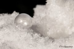 Seifenblasen