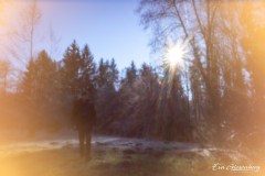 Im Wald/Lochkamera