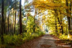 Im Wald