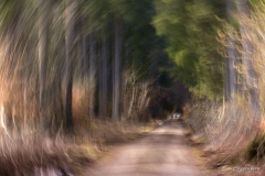 Im Wald