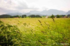 Allgäu