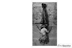 Sinnliche Bilder