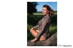 Sinnliche Bilder